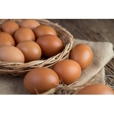 Jajca talna reja - Marija Žvan